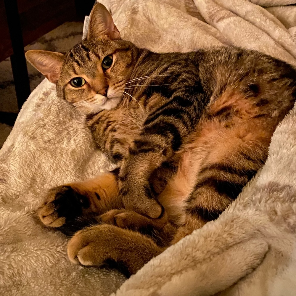 Meet your Posher, Maddy